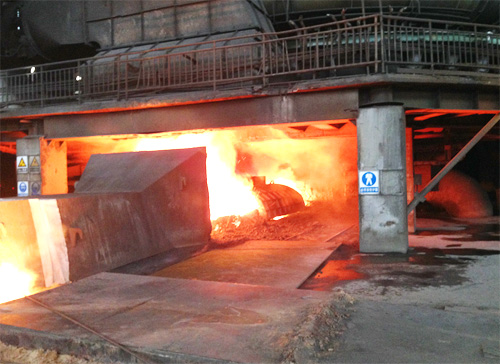 W020251125588861946609