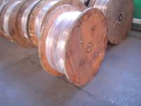 W020251125589502101656