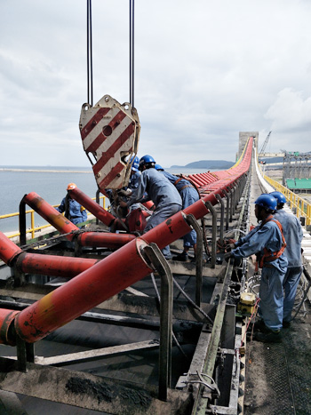 W020251125590071404479